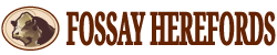 Fossay Herefords