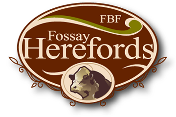 Fossay Herefords